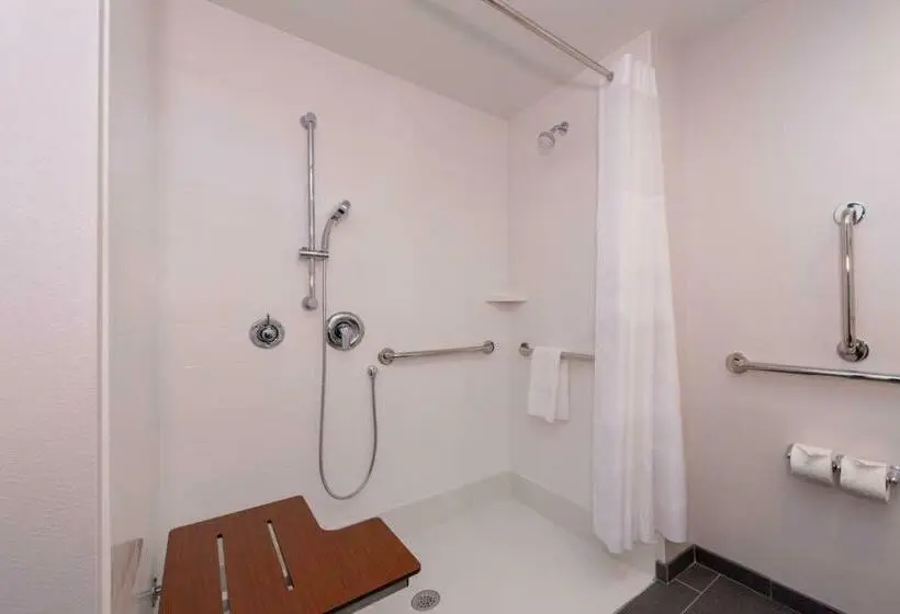 اتاق استاندارد با تخت بزرگ برای معلولان, Hampton Inn & Suites Winstonsalem Downtown