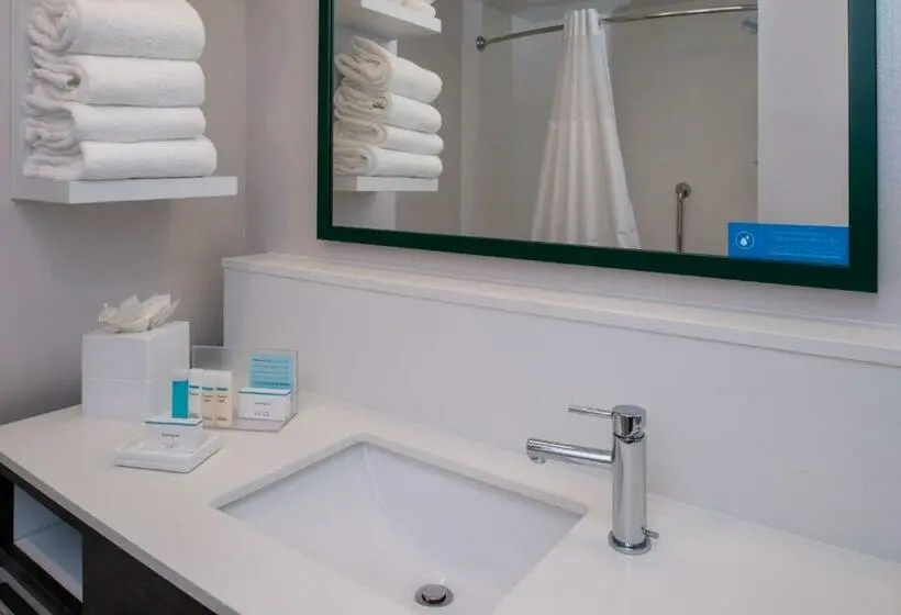 اتاق استاندارد برای معلولان, Hampton Inn & Suites Winstonsalem Downtown