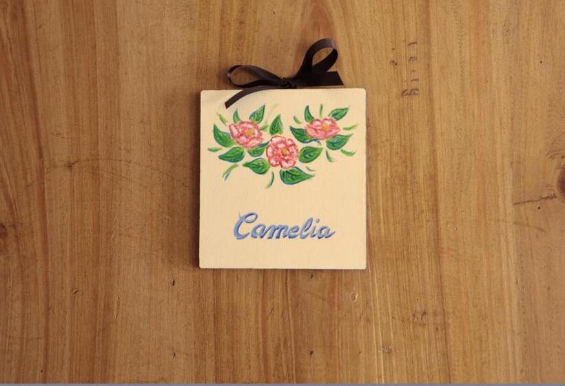 Четырехместный Номер Deluxe, Villa La Dogana