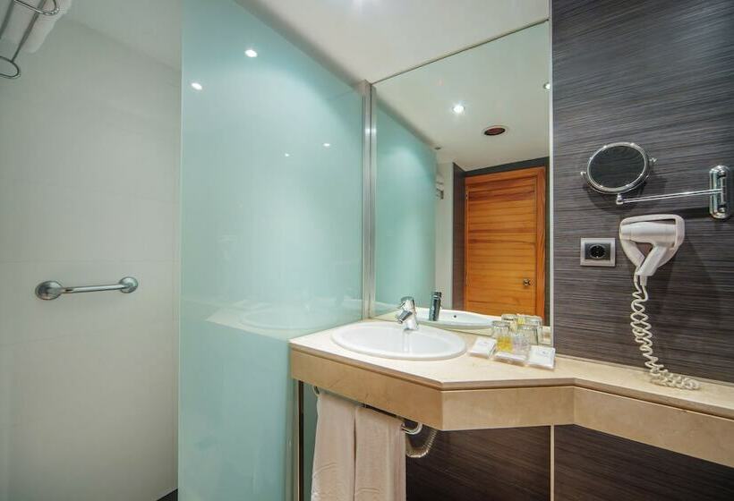 اتاق استاندارد, Aparthotel Fontanellas Playa