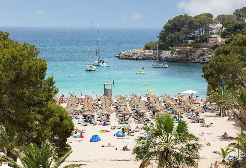 اتاق استاندارد با چشمانداز دریا, Gavimar Cala Gran Hotel And Apartments