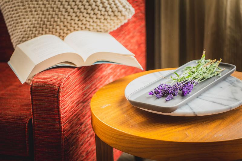 标准单人间, Playasol