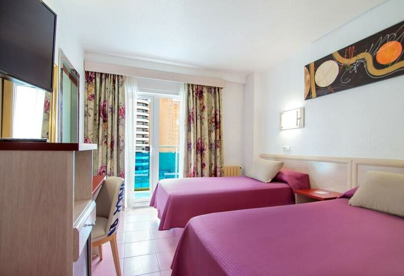 スタンダードルーム, Servigroup Venus