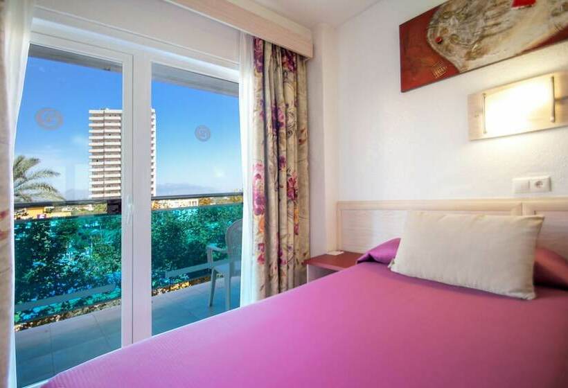 スタンダードシングルルーム, Servigroup Venus