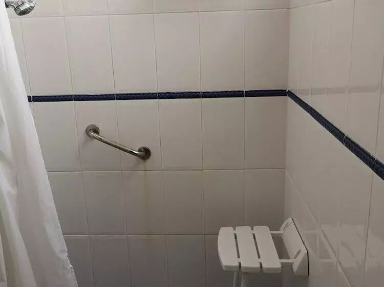 Camera Standard, Veracruz