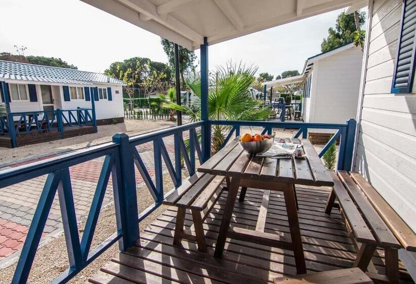 بنجلو قياسى, La Marina Resort