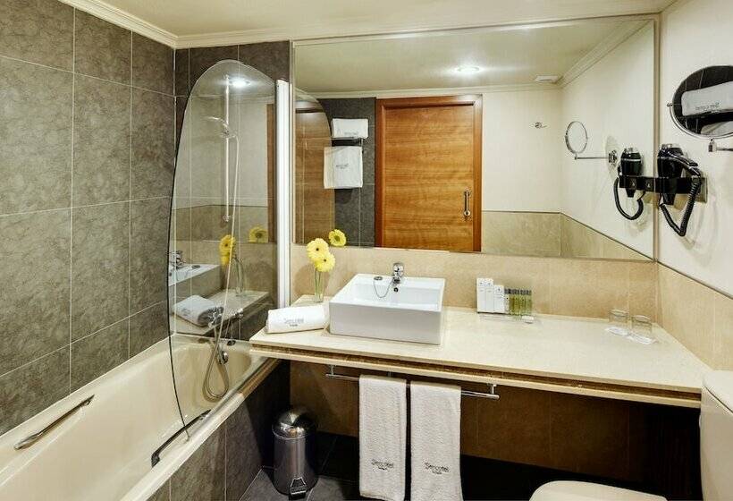 اتاق استاندارد, Sercotel Gran Hotel Zurbarán