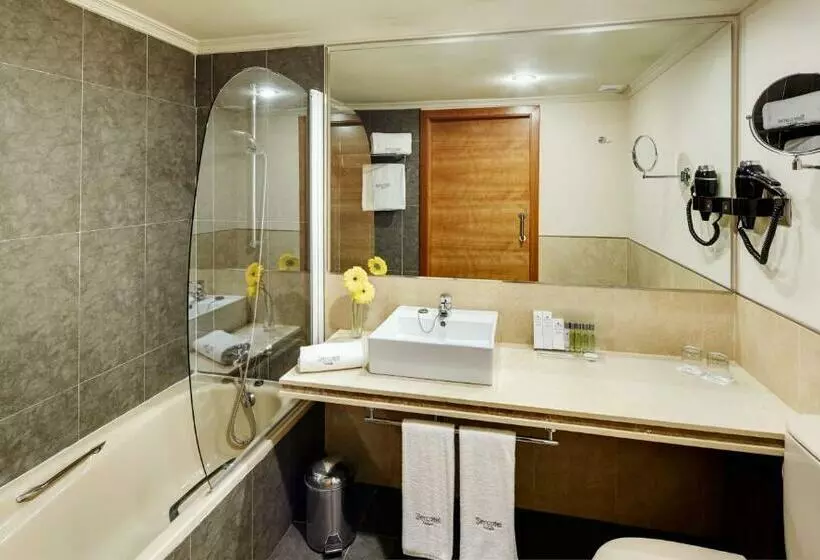اتاق استاندارد, Sercotel Gran Hotel Zurbarán