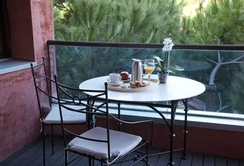 Standard-huone, Blancafort Spa Termal