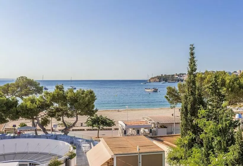 اتاق استاندارد, Fergus Style Palmanova - Adults Only