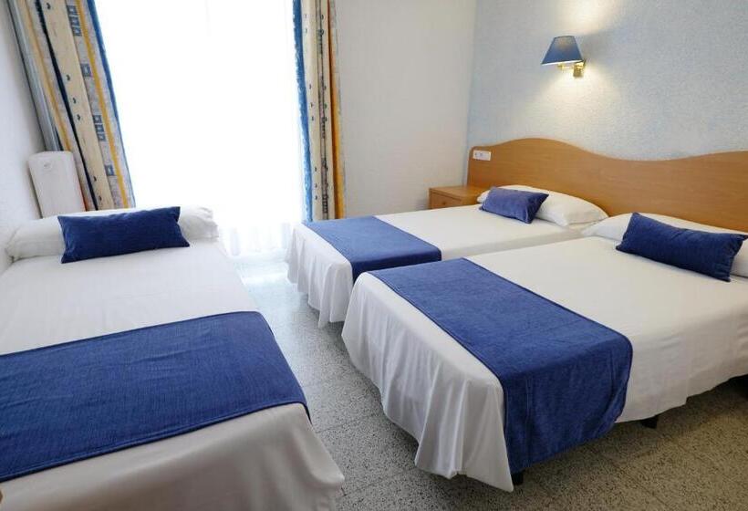 Номер Стандарт Внутренний, Internacional