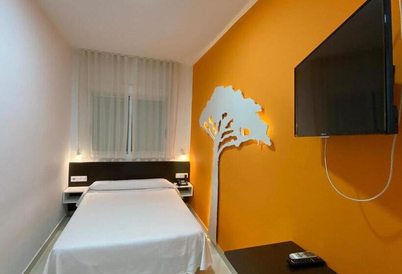 غرفة قياسية فردية, Sol Playa