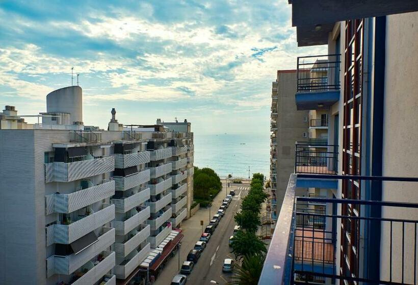 带海景的标准单人间, Checkin Blanes
