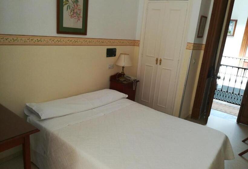 수피리어 싱글 룸, Nuevo