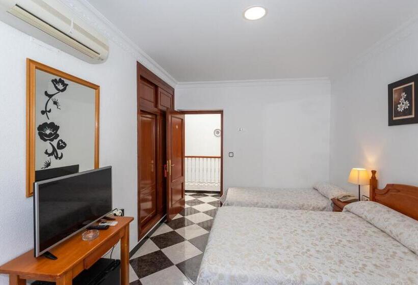 スタンダードトリプルルーム, Oasis