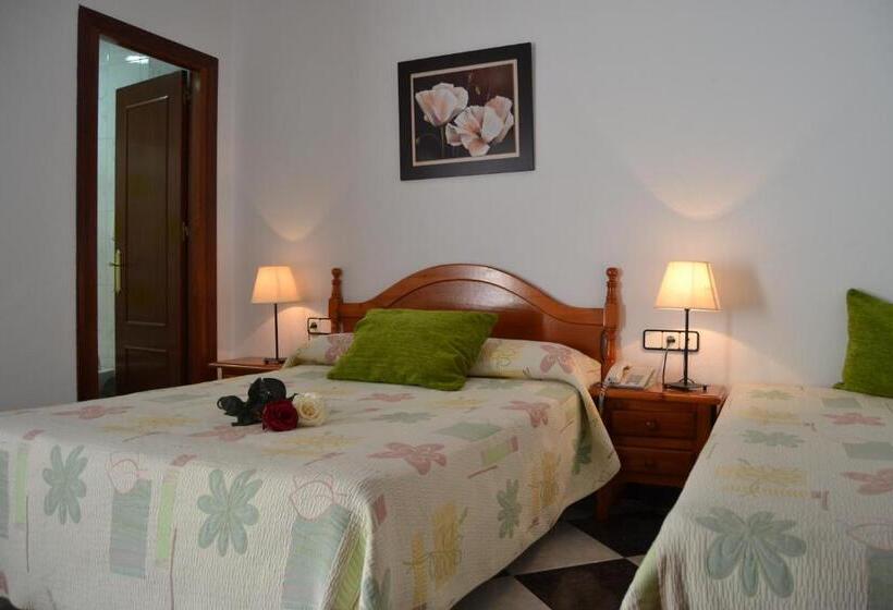 スタンダードトリプルルーム, Oasis