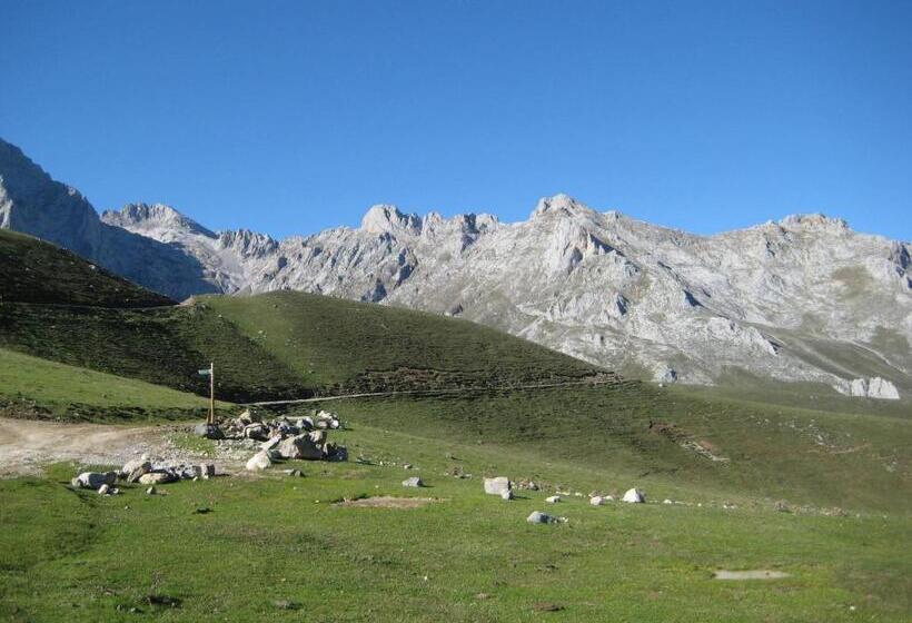 标准三人间, Rebeco