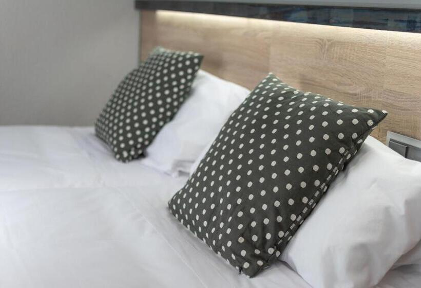 高级大房间, Alda Centro Pamplona