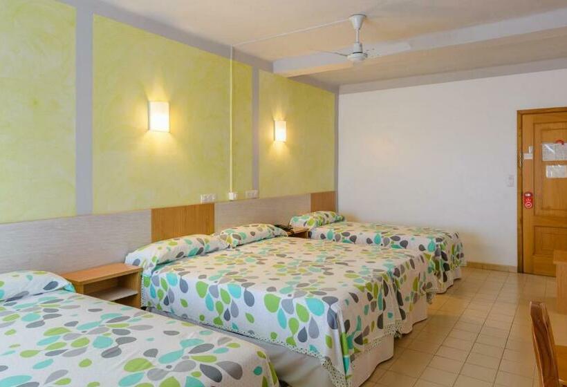 ファミリールーム, La Terraza