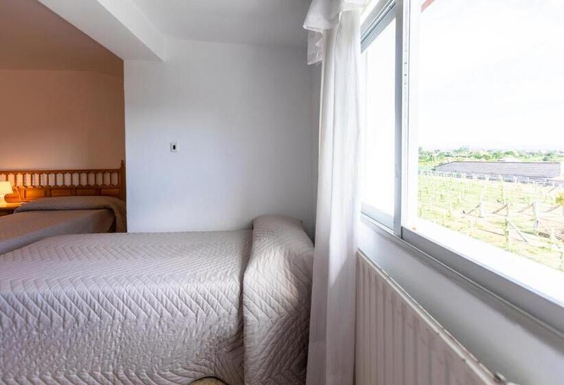 غرفة قياسية, Leal La Sirena