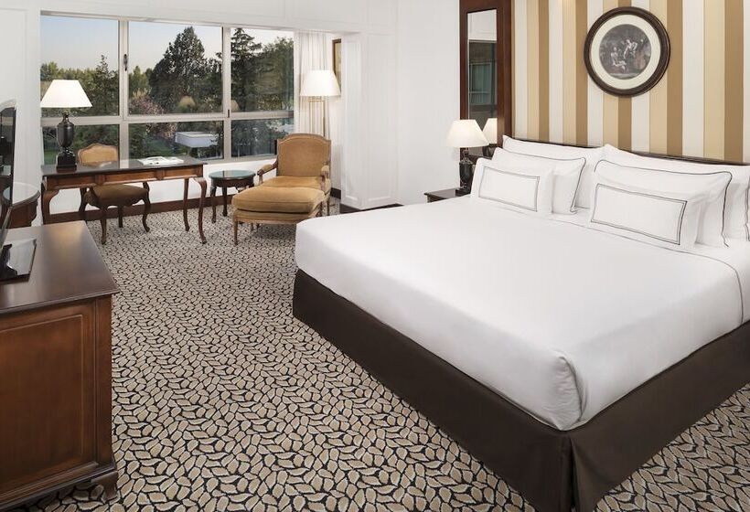 اتاق سوپریور با چشمانداز استخر, Melia Barajas