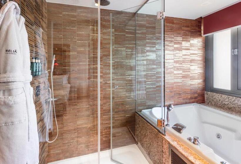 Premium room with view, Melia Madrid Princesa
