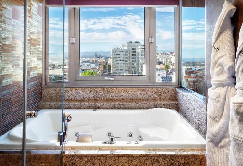 Premium Zimmer mit Aussicht, Melia Madrid Princesa