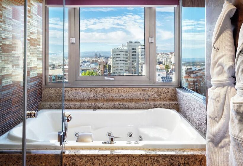 Premium Zimmer mit Aussicht, Melia Madrid Princesa