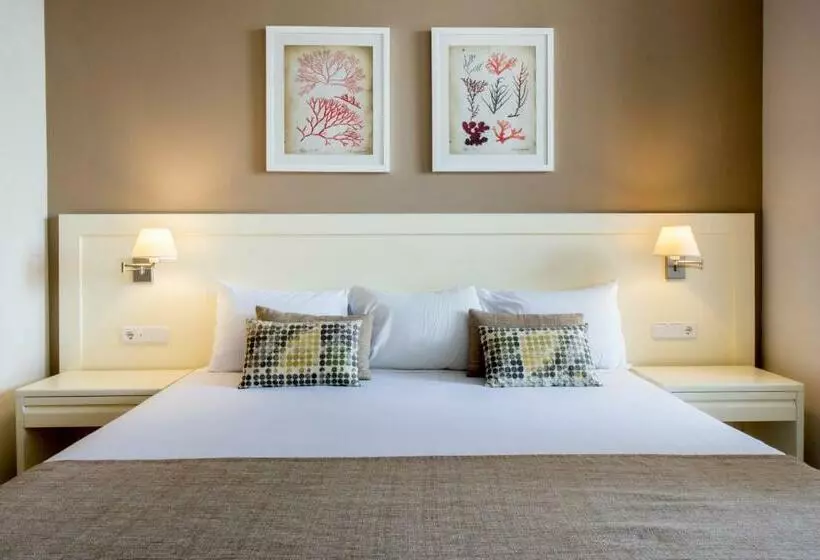 سوییت جونیور, Bahia Principe Explore San Felipe - All Inclusive
