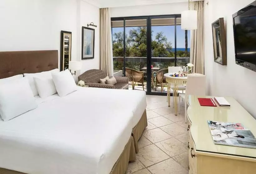 اتاق پریمیوم با چشم‌انداز باغ, Don Pepe Gran Melia
