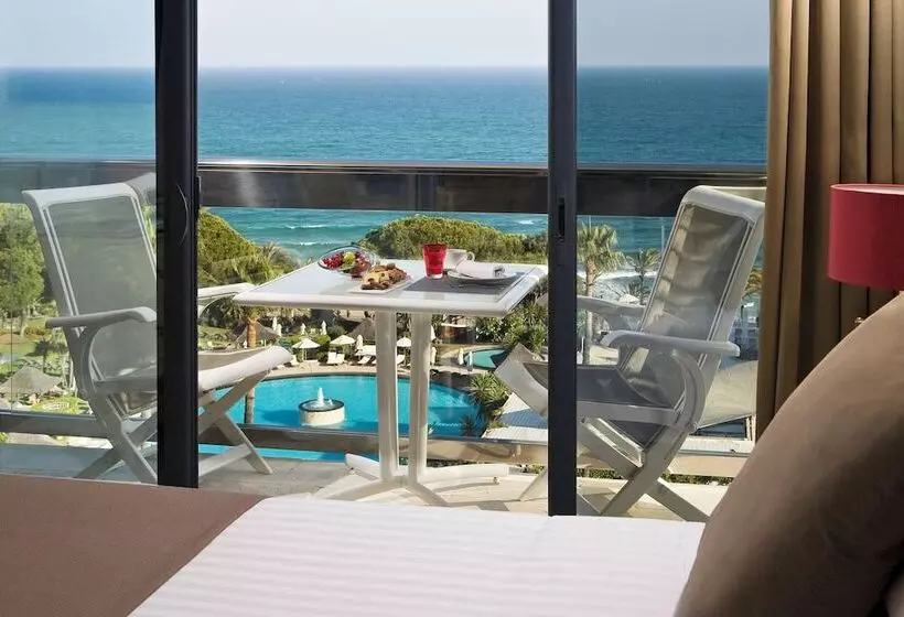 سوییت جونیور, Don Pepe Gran Melia
