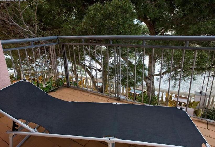 Семейный Номер, Grifeu