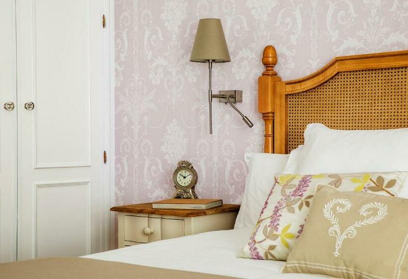 اتاق استاندارد یک نفره, Infanta Isabel By Recordis Hotels