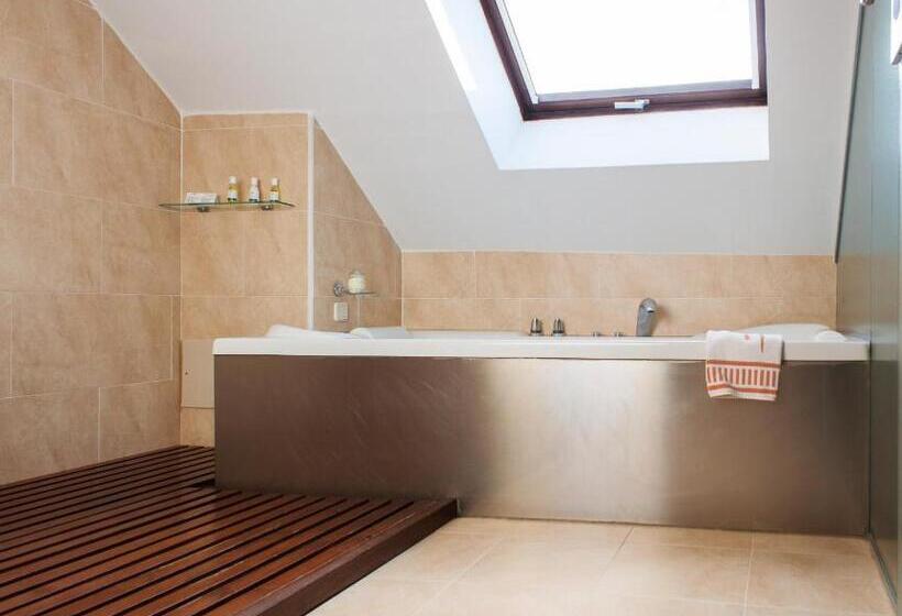 اتاق لوکس, Infanta Isabel By Recordis Hotels