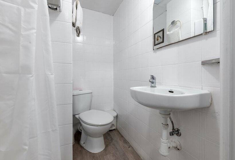 اتاق استاندارد یک نفره, Forum Tarragona