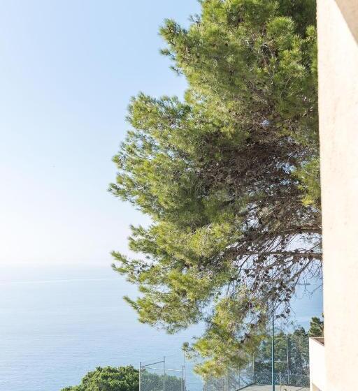 חדר משפחתי, Almadraba Park