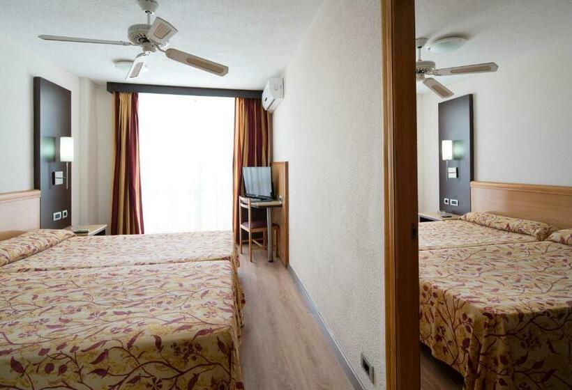 패밀리 룸, Catalonia Oro Negro