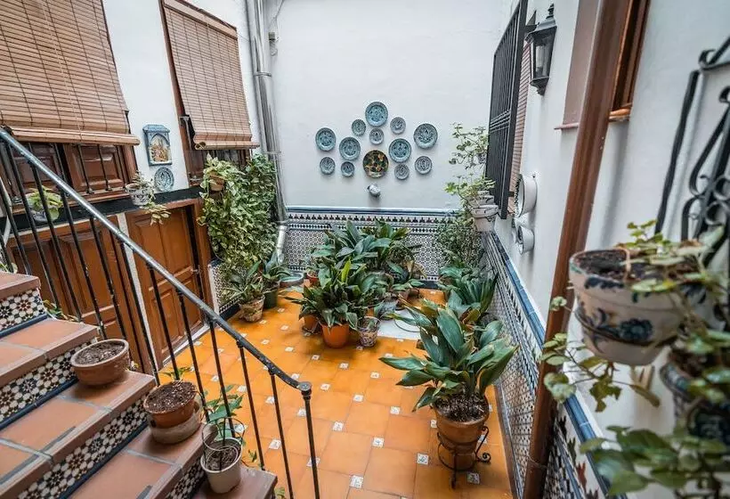 اتاق استاندارد یک نفره, Veronica Centro