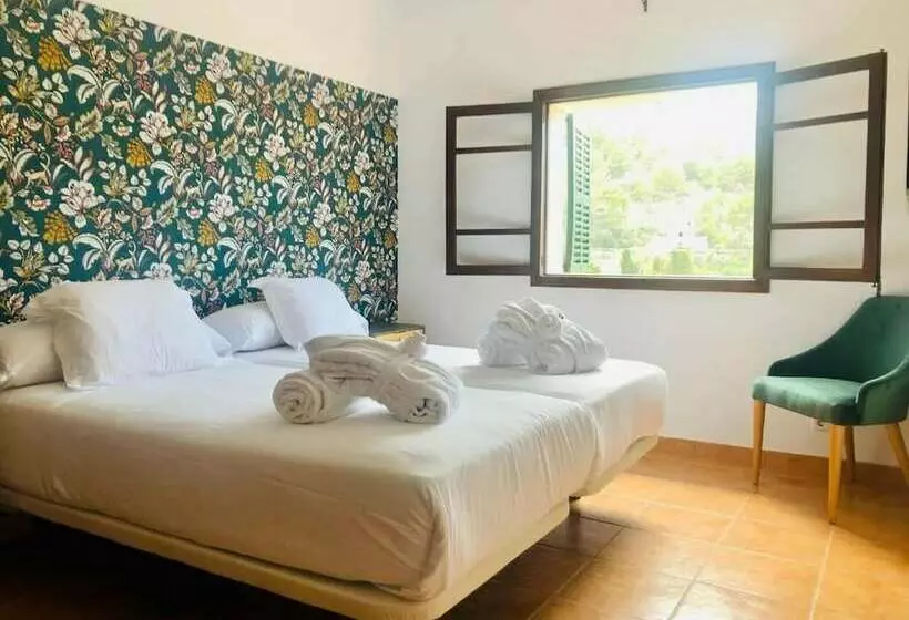 Camera Standard, Sol Port Soller