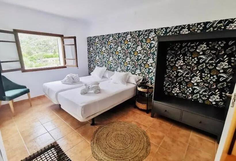 Camera Standard, Sol Port Soller