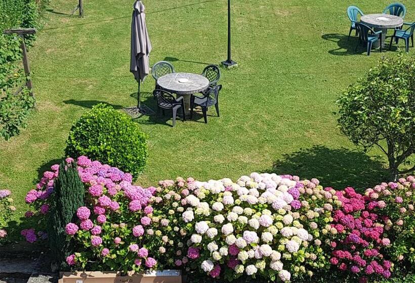 اتاق استاندارد, Pensión Castio