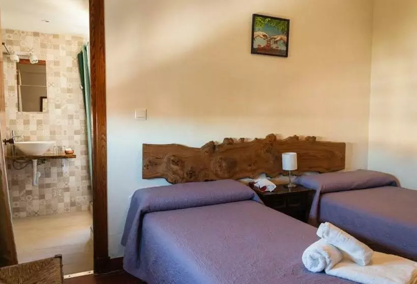 スタンダードルーム, Hostal La Palmera