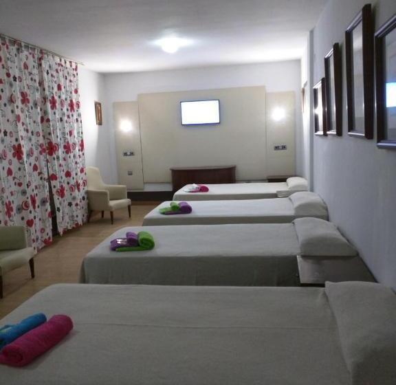 标准单人间, Nuevo Ara