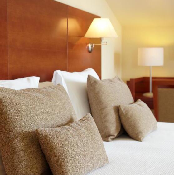 スタンダードシングルルーム, Carlos I Silgar