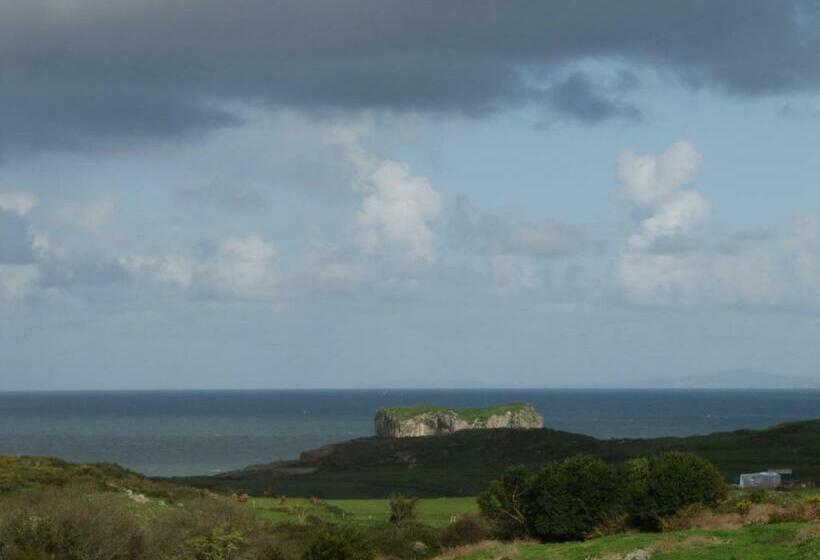 غرفة أساسية, Migal