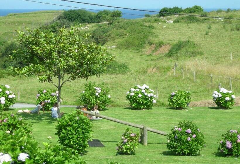 غرفة أساسية, Migal