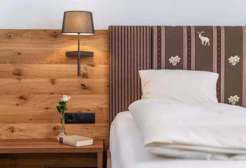 اتاق استاندارد با چشم‌انداز کوهستان, Aktivhotel Pehab