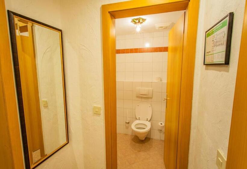 شقة غرفة واحدة, Aktivhotel Pehab