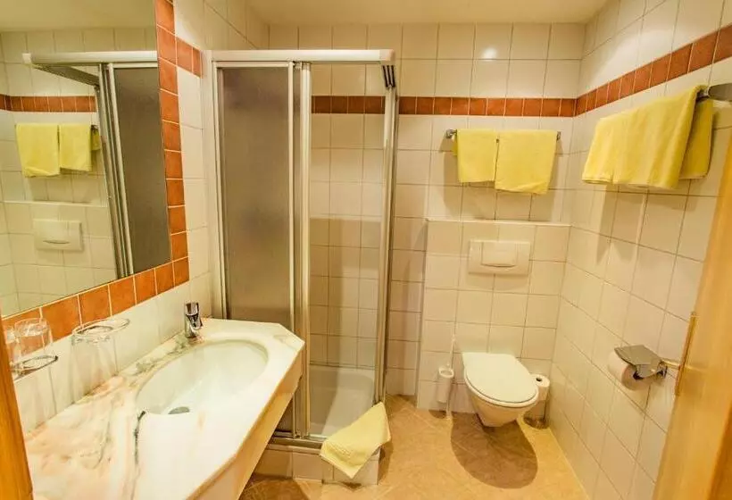 آپارتمان 1 خوابه با چشم‌انداز, Aktivhotel Pehab