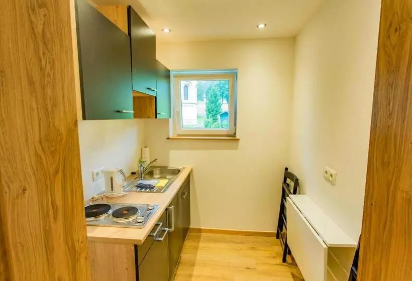 آپارتمان 1 خوابه با چشم‌انداز, Aktivhotel Pehab